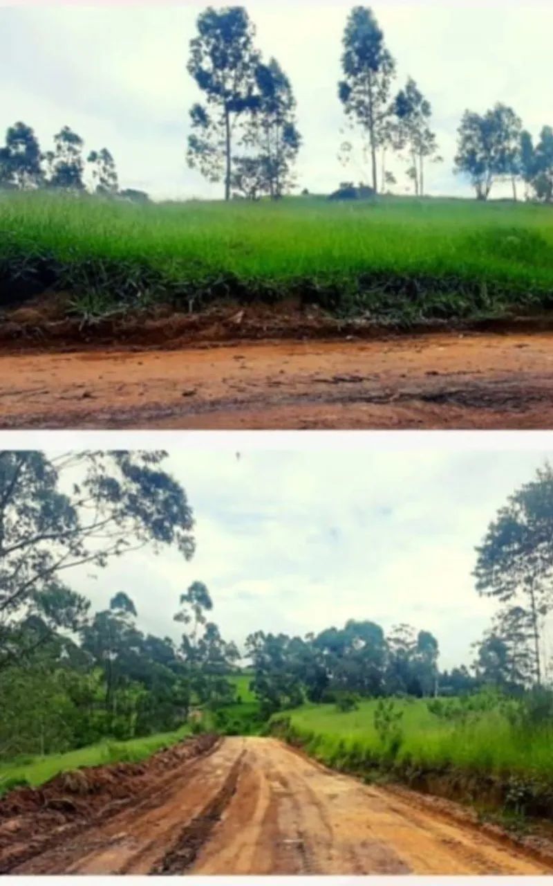 Foto - Osasco - Munhoz Júnior