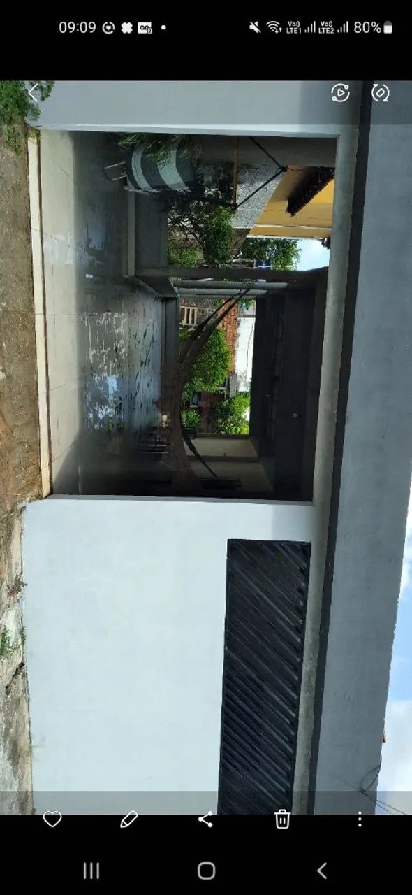 Foto - Belém - Coqueiro