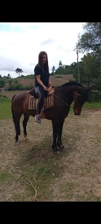 Cavalo crioulo  - Foto 5