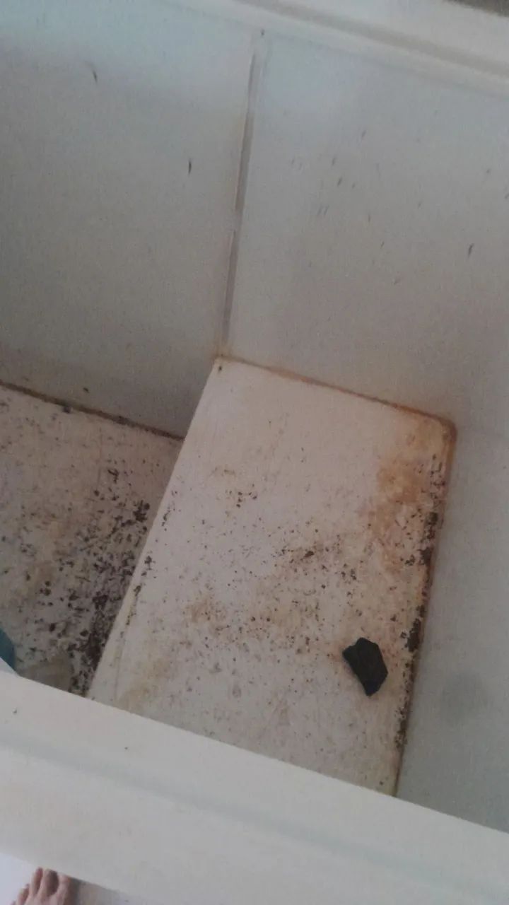 Freezer Com Defeito 500L - Foto 4