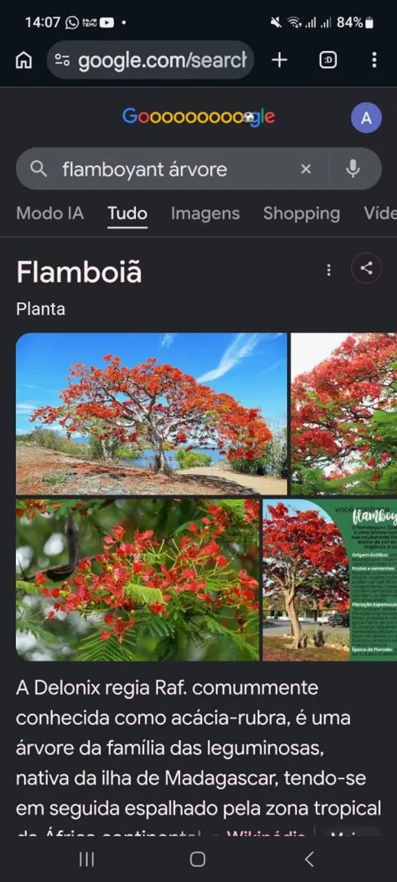 Vende-se  - Foto 2