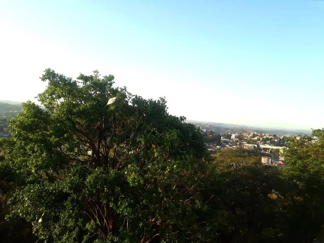 Apartamento 2 Quartos e 1 vaga Residencial Goiânia - Foto 3