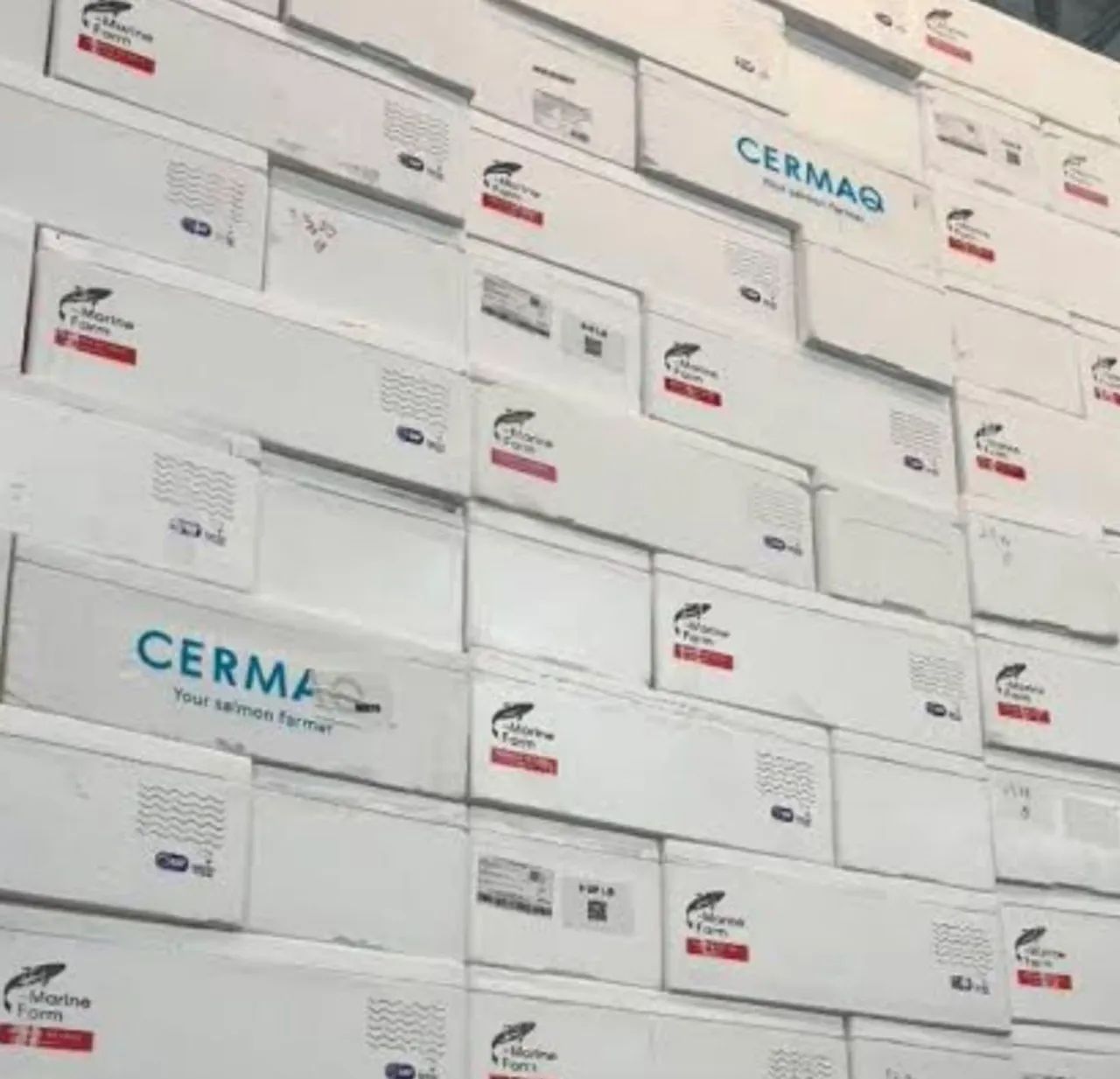 Promoção caixa de isopor Varejo R$ 10 Unidade