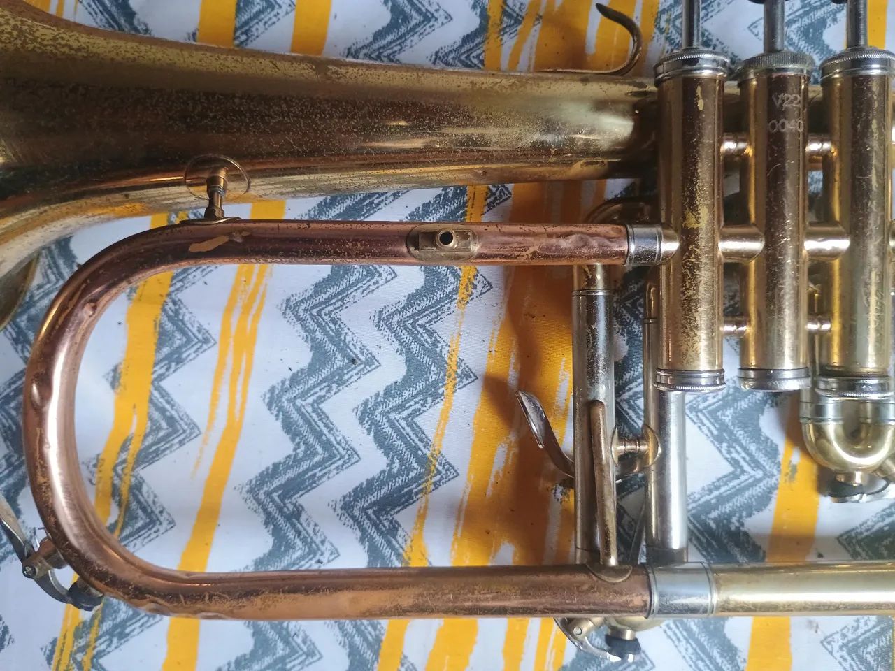 Flugelhorn dolphin - Foto 5
