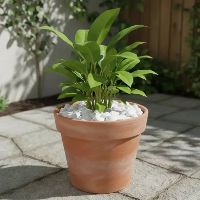 PEDRAS BRANCAS PARA JARDIM - Foto 3