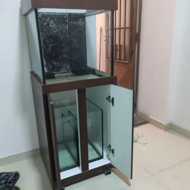 Aquario Completo 125 litros Cubo 50x50x50 - Foto 2