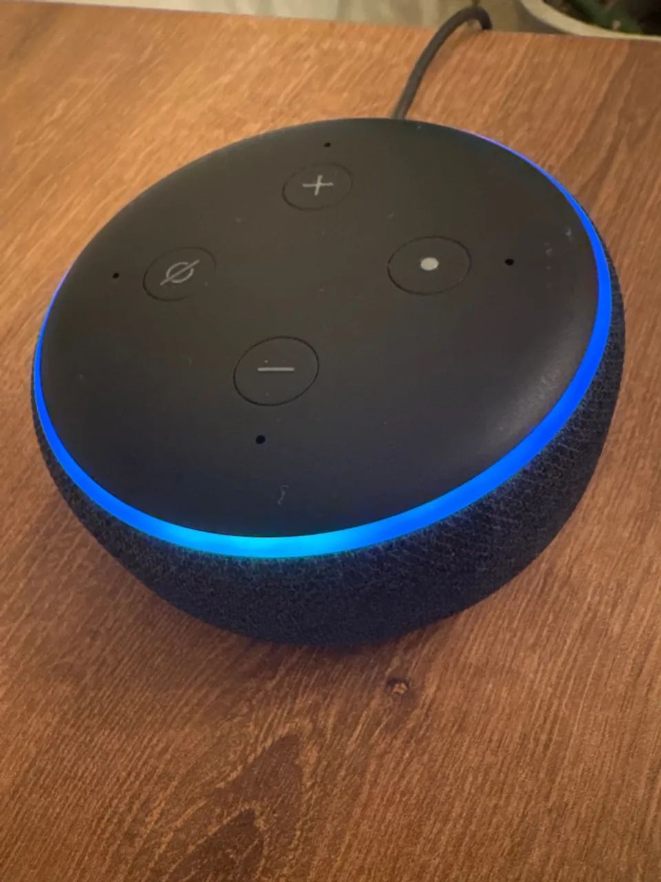 Alexa  - Foto 2