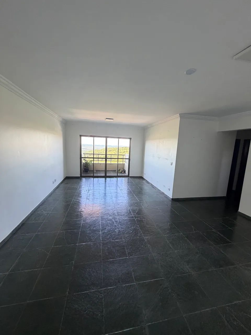 Apartamento Grande  - Foto 2