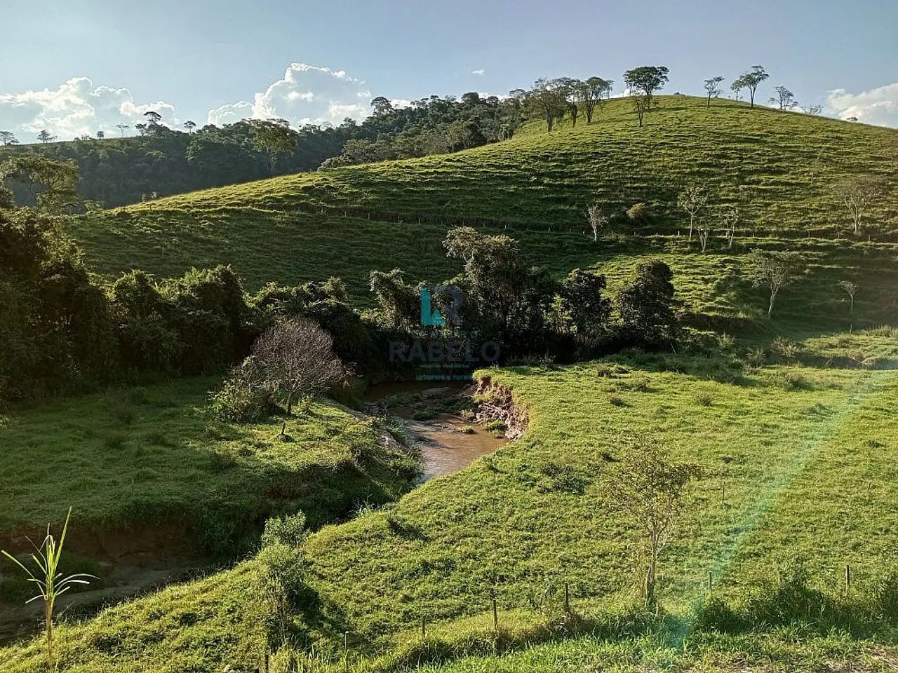 SÍTIO FORMADO COM RIO E LAGO Á VENDA EM LORENA-SP - Foto 4