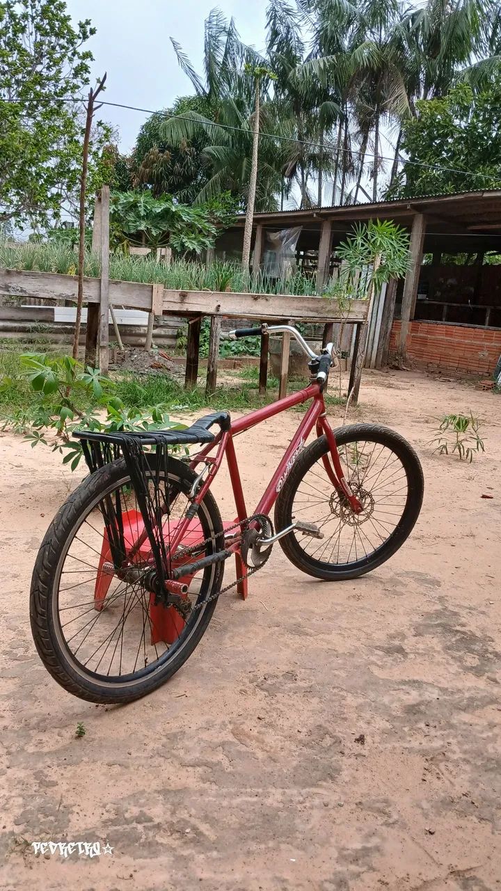 Vende-se esta montadinha  - Foto 2