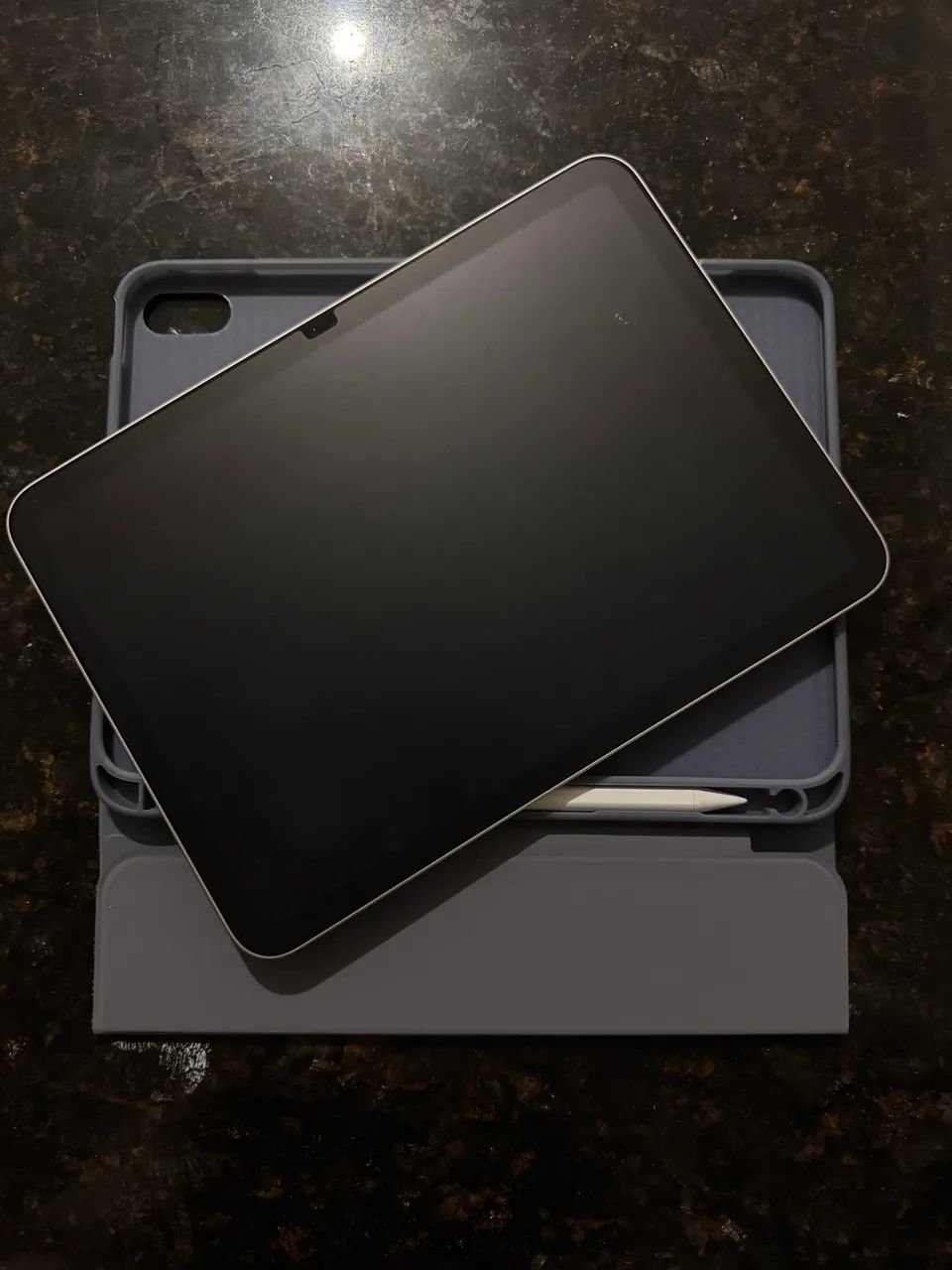 iPad 11 A16 258gb + caneta WB