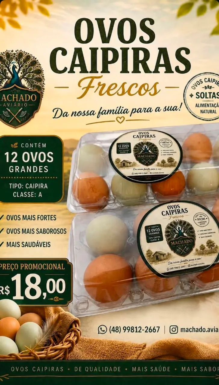 ? OVOS CAIPIRAS FÉRTEIS ? PARA QUEM AMA CRIAR E QUER MULTIPLICAR! ?