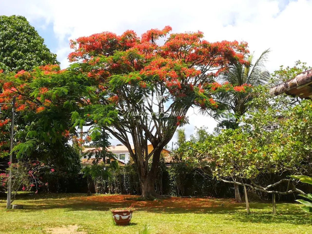 ALDEIA - CASA PRINCIPAL COM EDÍCULA COM 2.400 M2