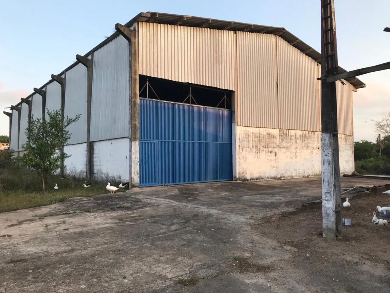 GALPAO COMERCIAL em SÃO LUÍS - MA, DISTRITO INDUSTRIAL - Foto 2