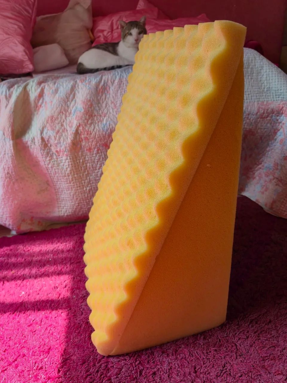 Encosto plus ortopédico  - Foto 2