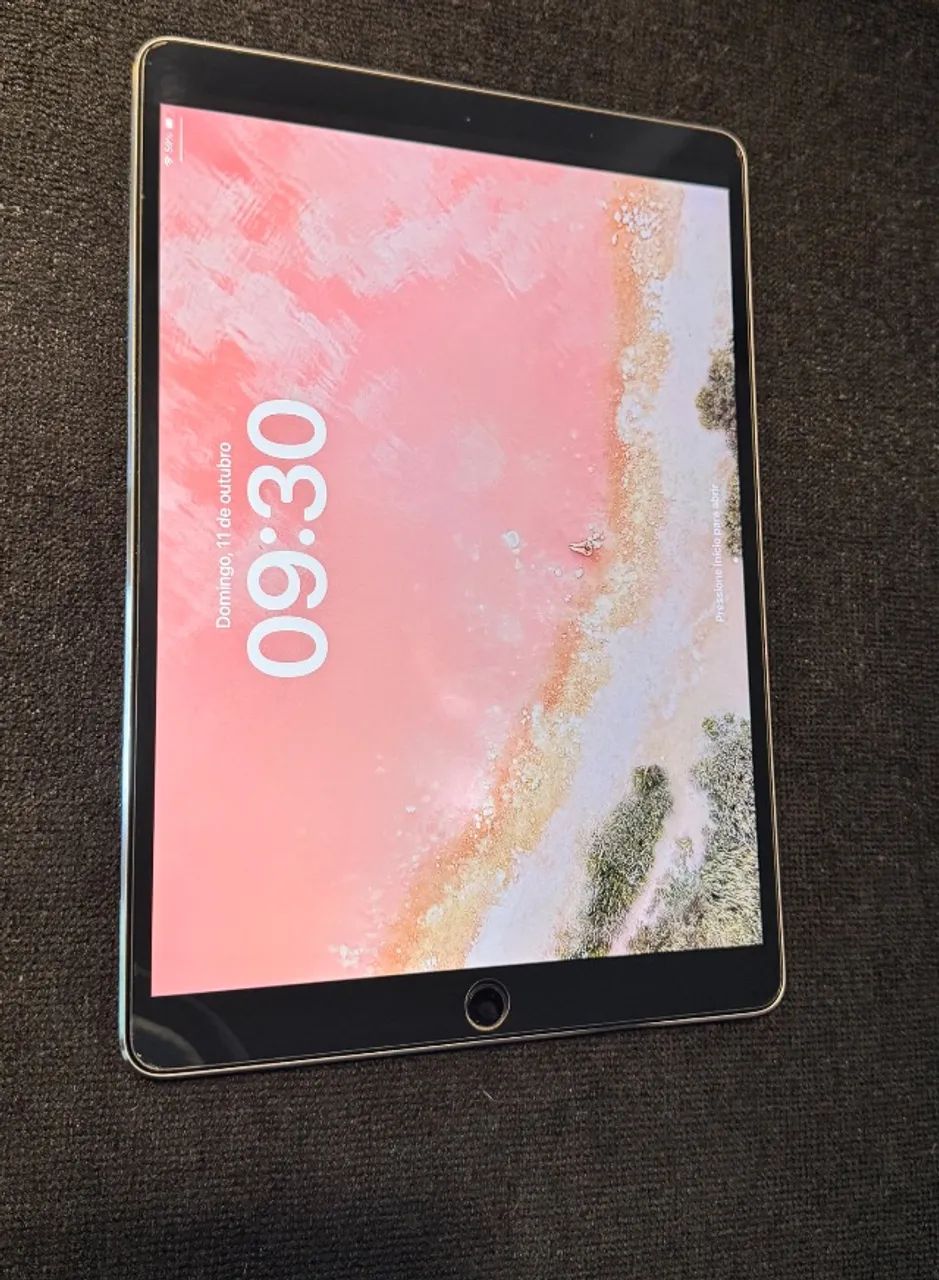 iPad本体 ipad pro10.5 256GB iPad Pro 10,5