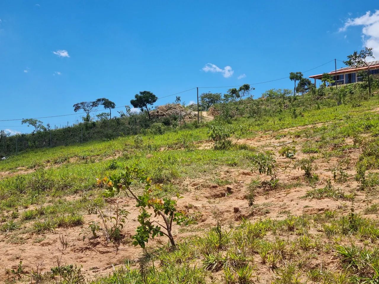 Terreno 1000m e itatiauçu - Foto 4
