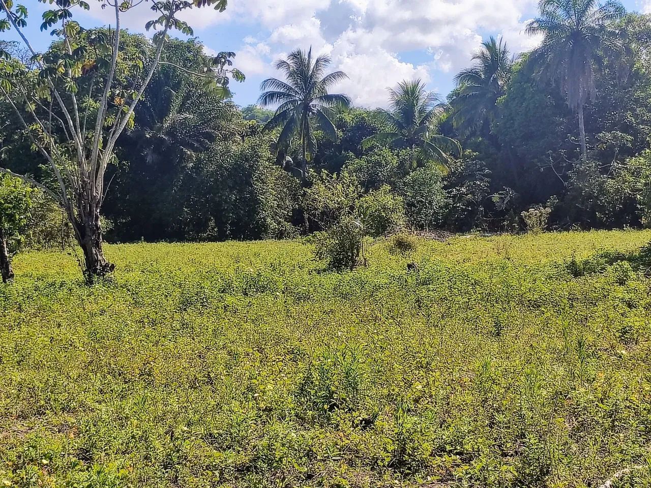 Terreno em ilha de mare