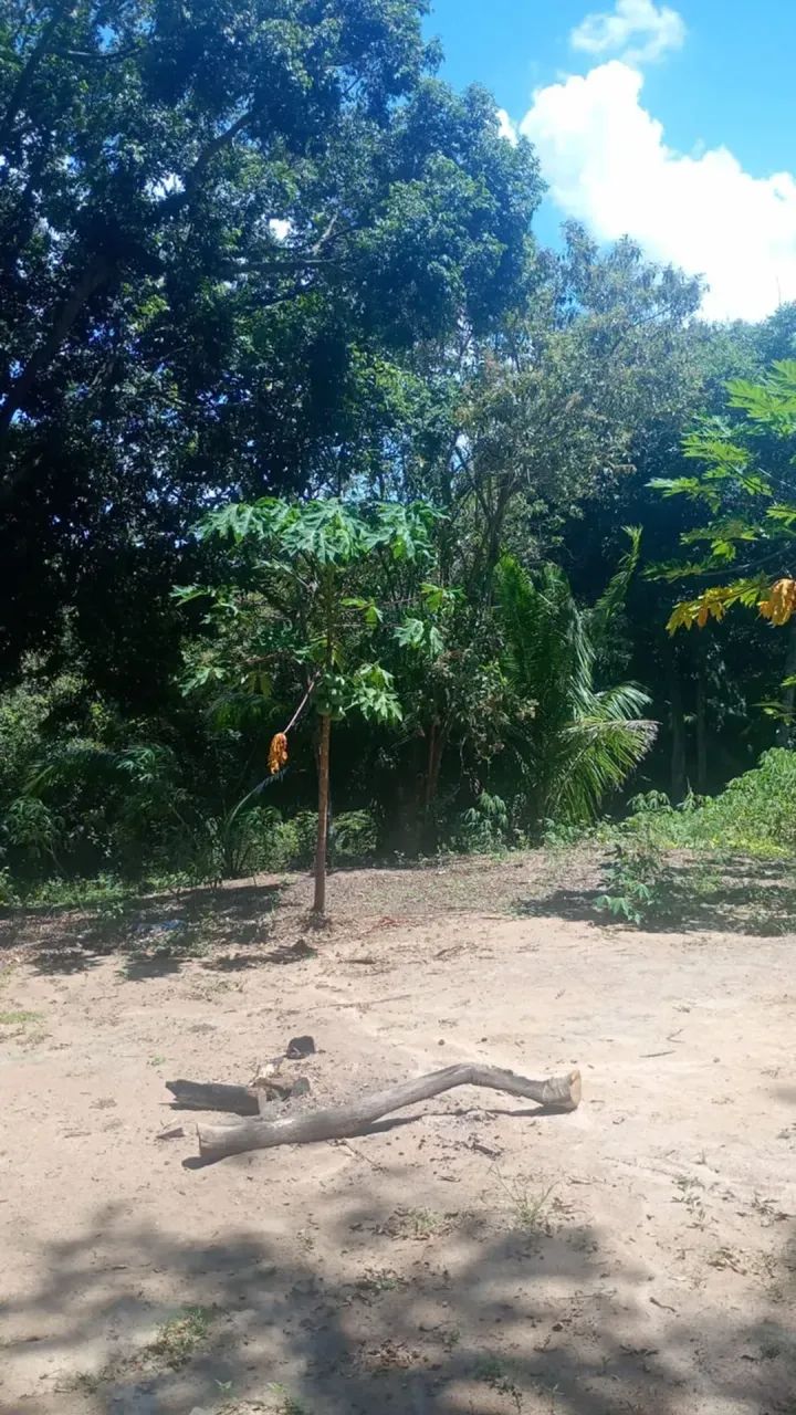 Vende-se excelente chácara em Jabuticaba, Guarapari-ES