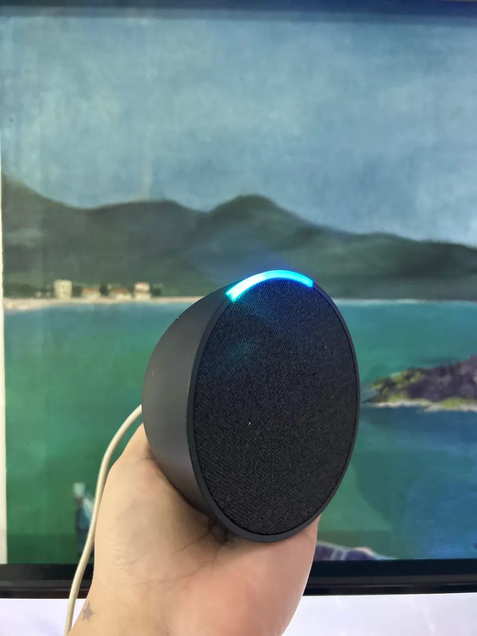 Alexa 4 geração 