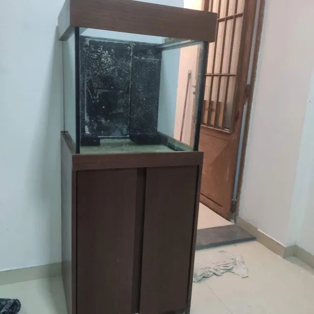 Aquario Completo 125 litros Cubo 50x50x50