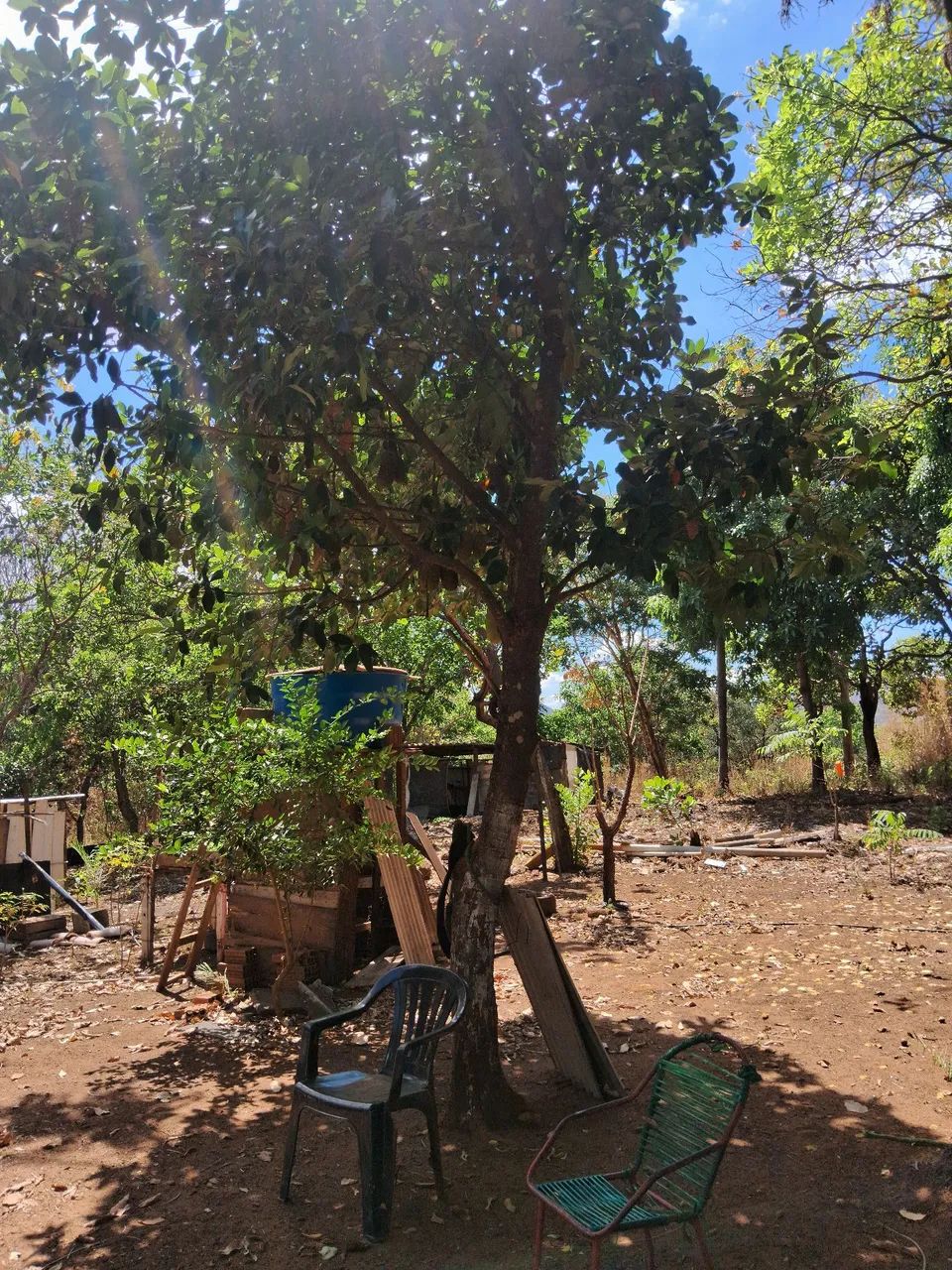 Chacara no coqueirinho  - Foto 5