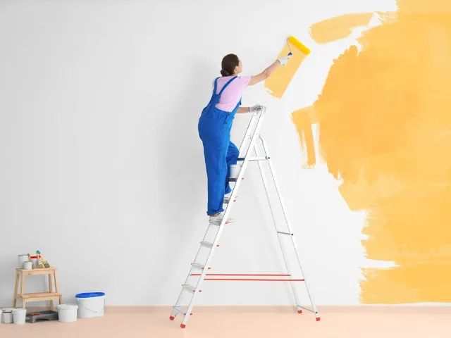 PINTOR PROFISSIONAL
