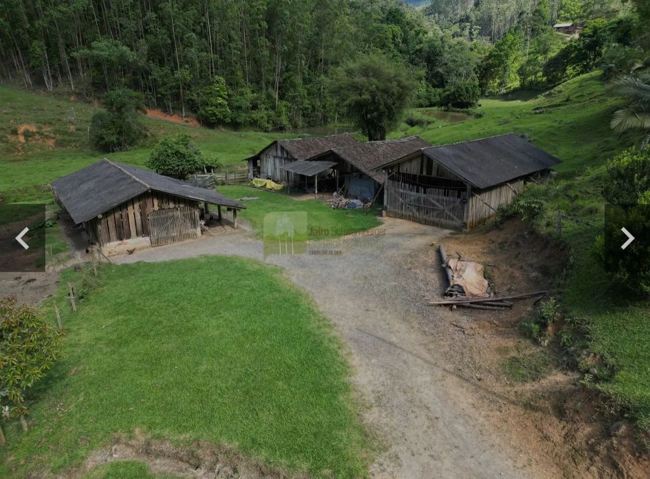 Linda área rural com 82 hectares em Vidal Ramos (SC) - Foto 2