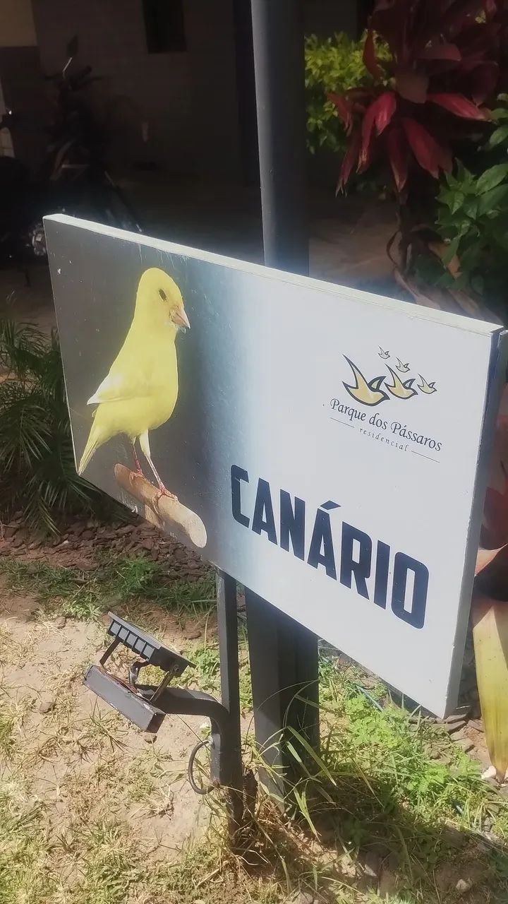Alugo Gran Park Pássaros 
