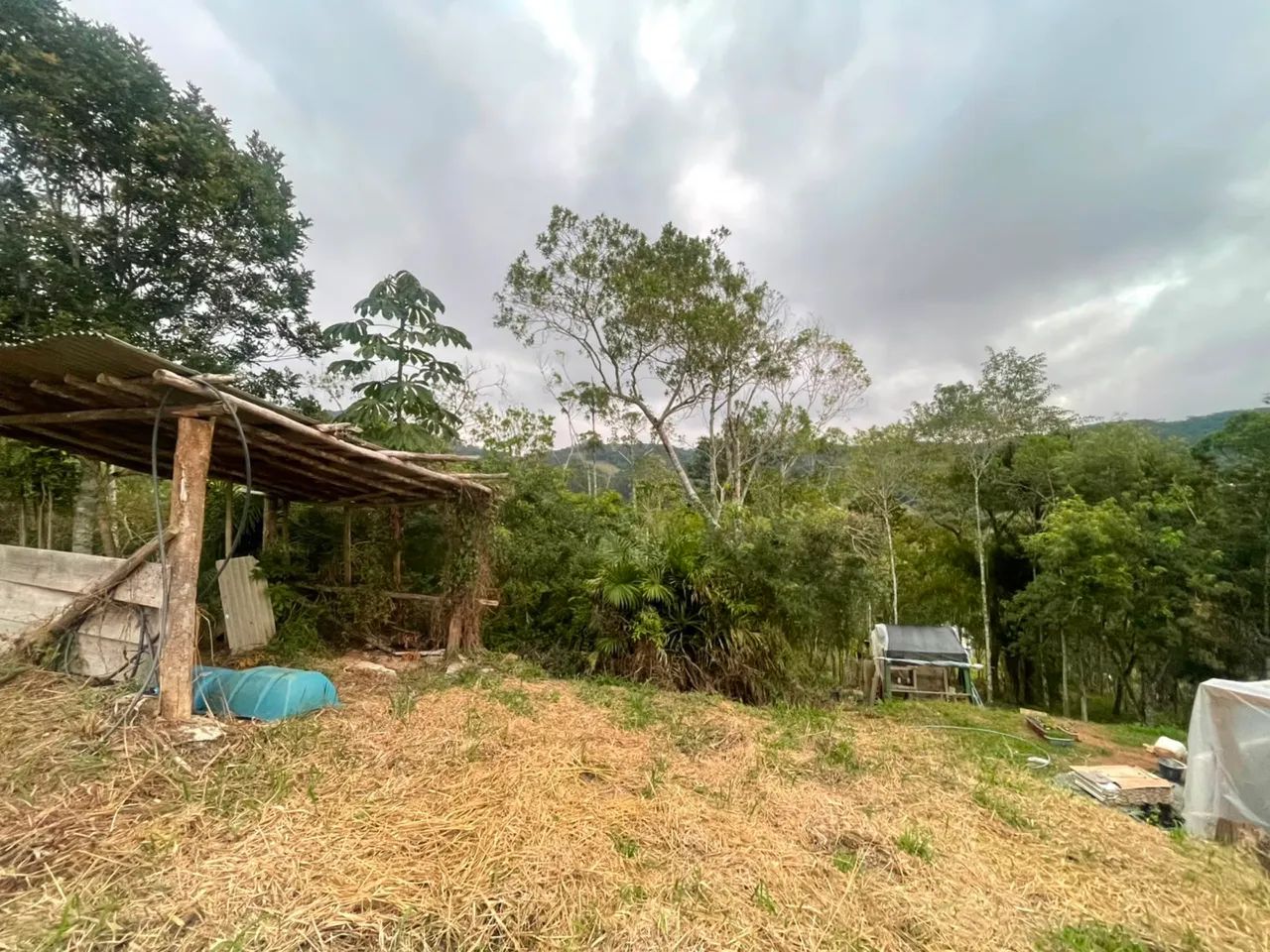 Vendo terreno em São Pedro de Alcântara - Foto 3