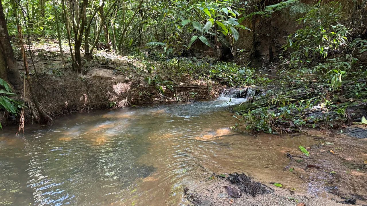 Chacara de 5.100mt com córrego no fundo e muita natureza! - Foto 4