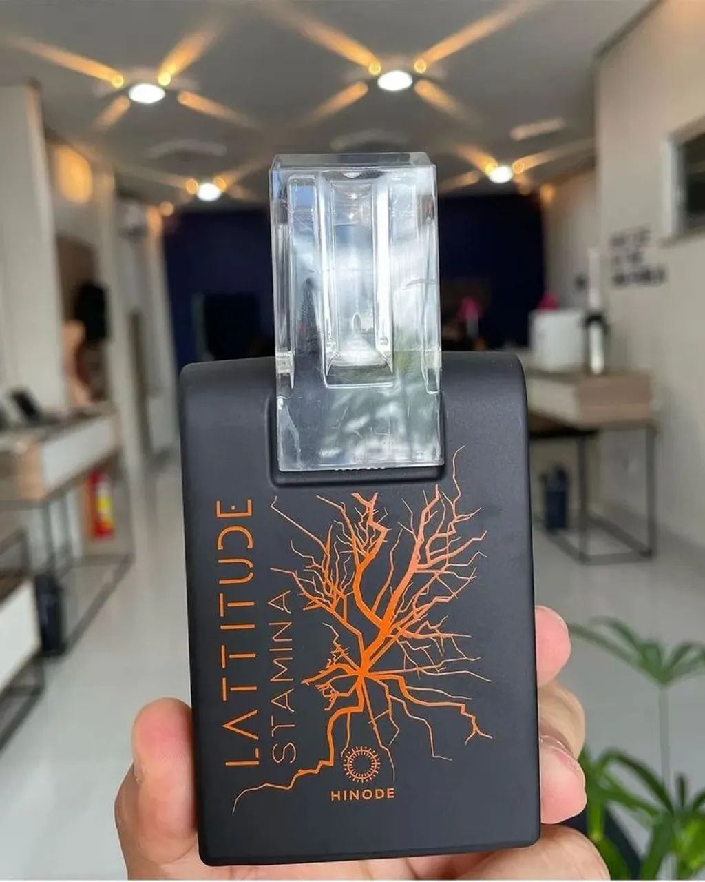 Latitude Stamina da Hinode  - Foto 2