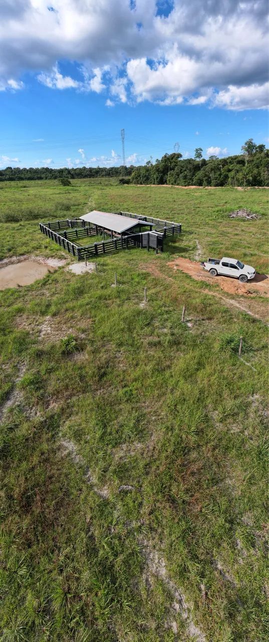 FAZENDA A VENDA 309 HECTARES 