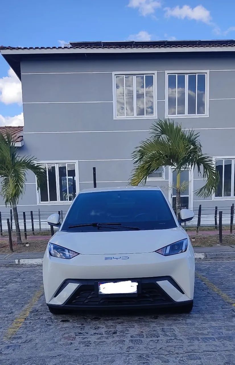 BYD Dolphin Mini (Elétrico) 2024 2024