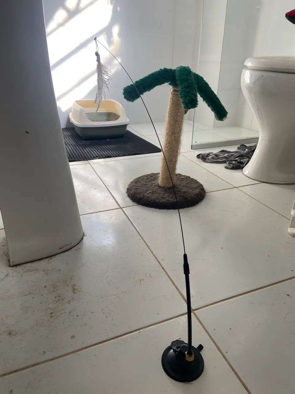 ADOÇÃO RESPONSÁVEL- 2 gatinhas castradas e vacinadas  - Foto 3