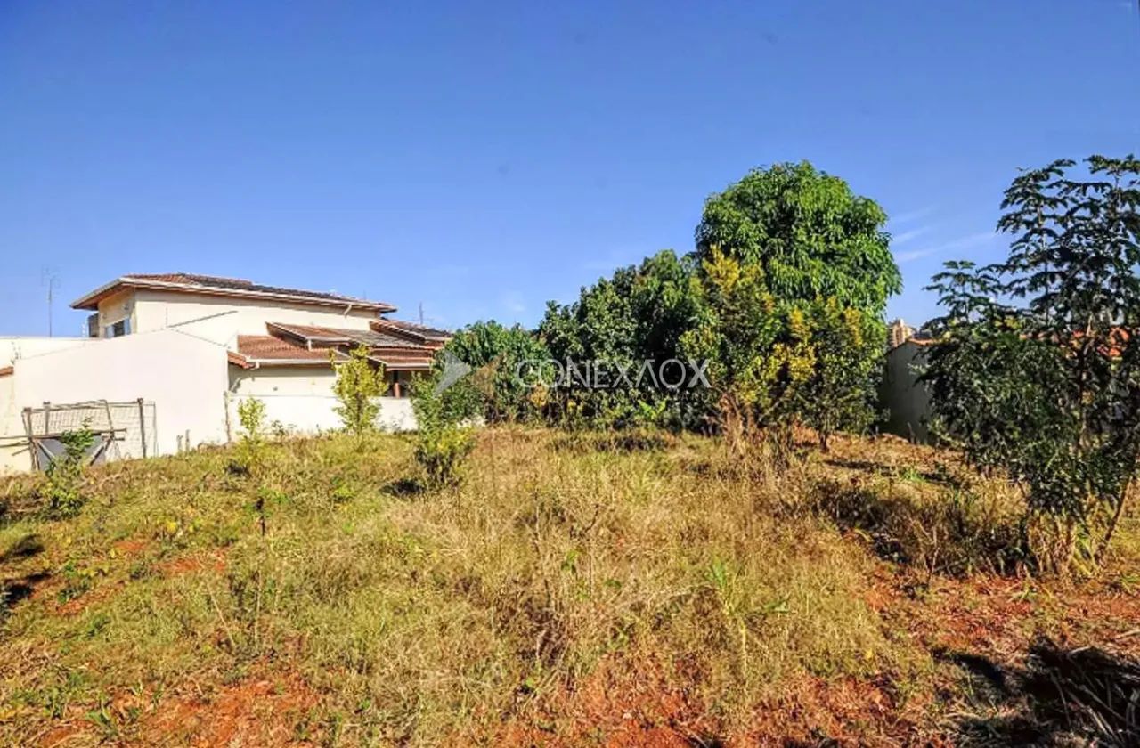 terreno - Jardim Paraíso - Campinas - Foto 3