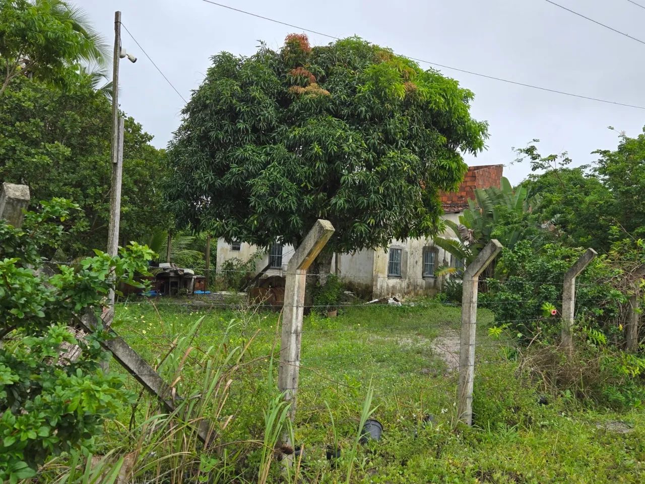 Vendo sítio povoado Jurubeba - São Cristóvão  - Foto 4