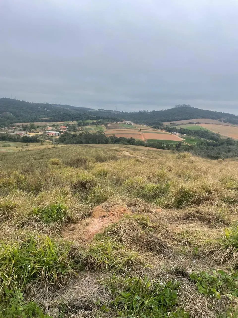 Seu Patrimônio Pode Crescer Aqui - Foto 3