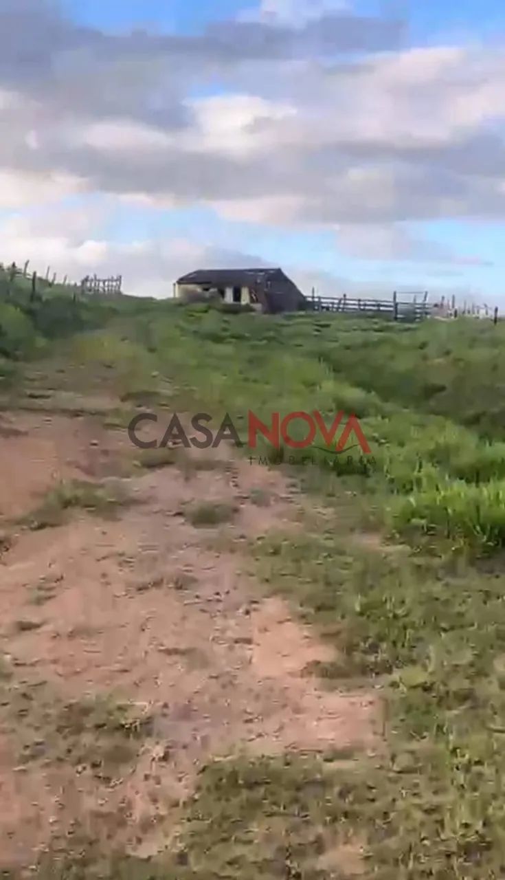 Fazenda com 135 tarefas em Malhador - Foto 2