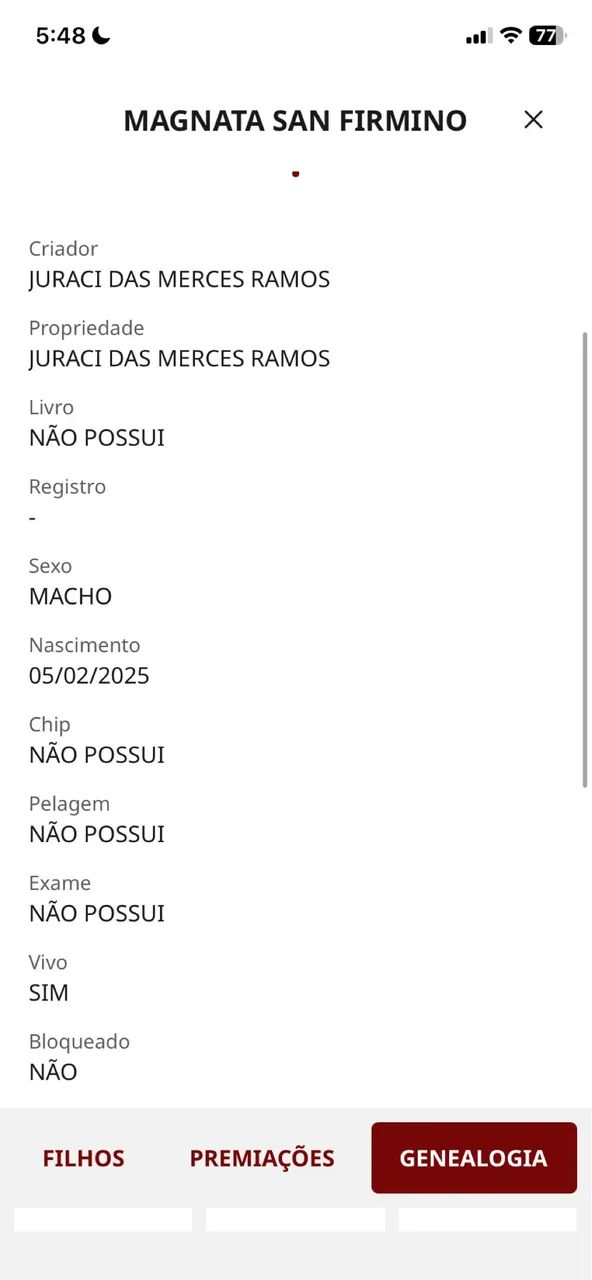 Potro MM registrado filho de campeão nacional  - Foto 5