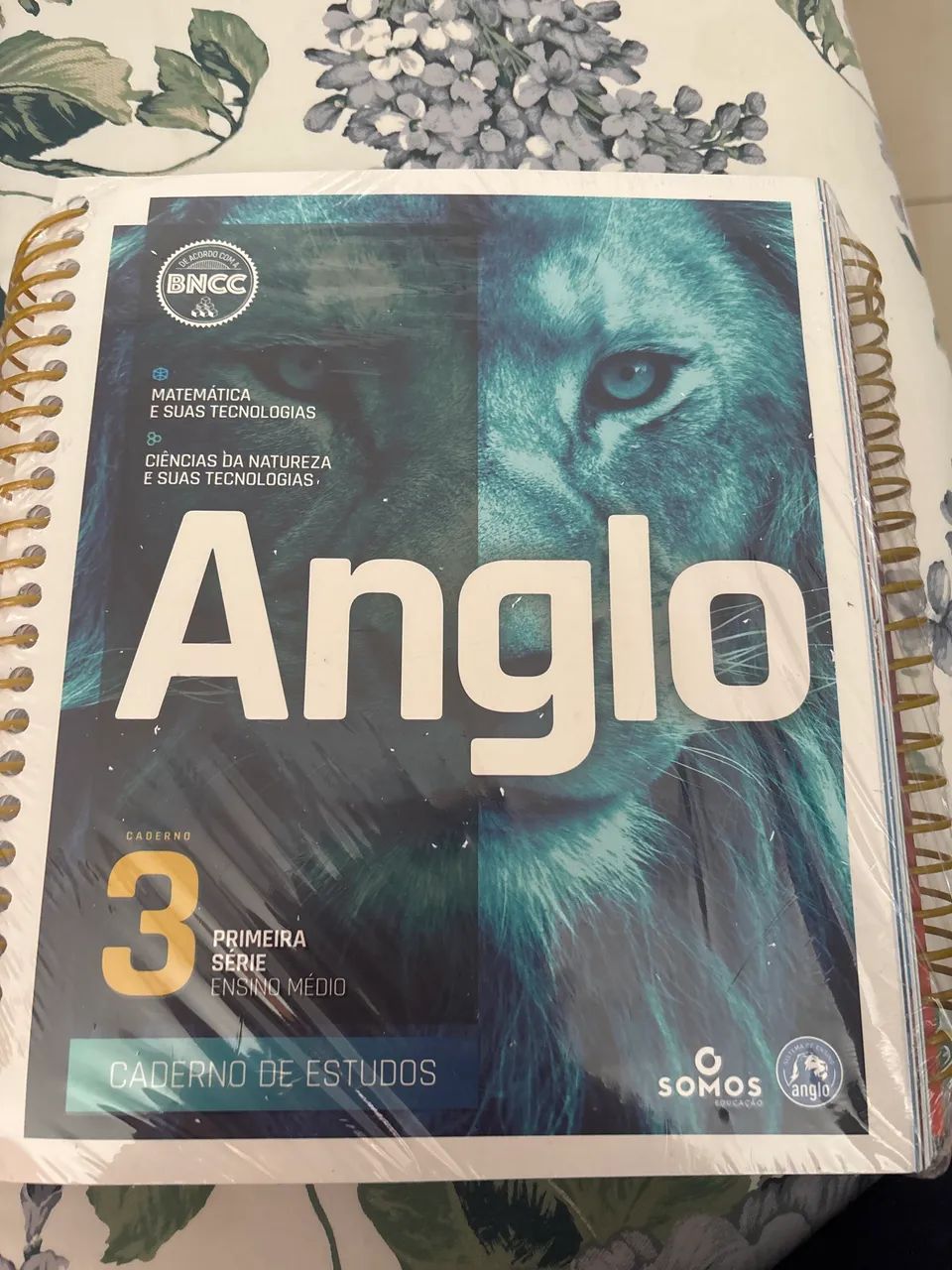 Caderno de estudos anglo  - Foto 2