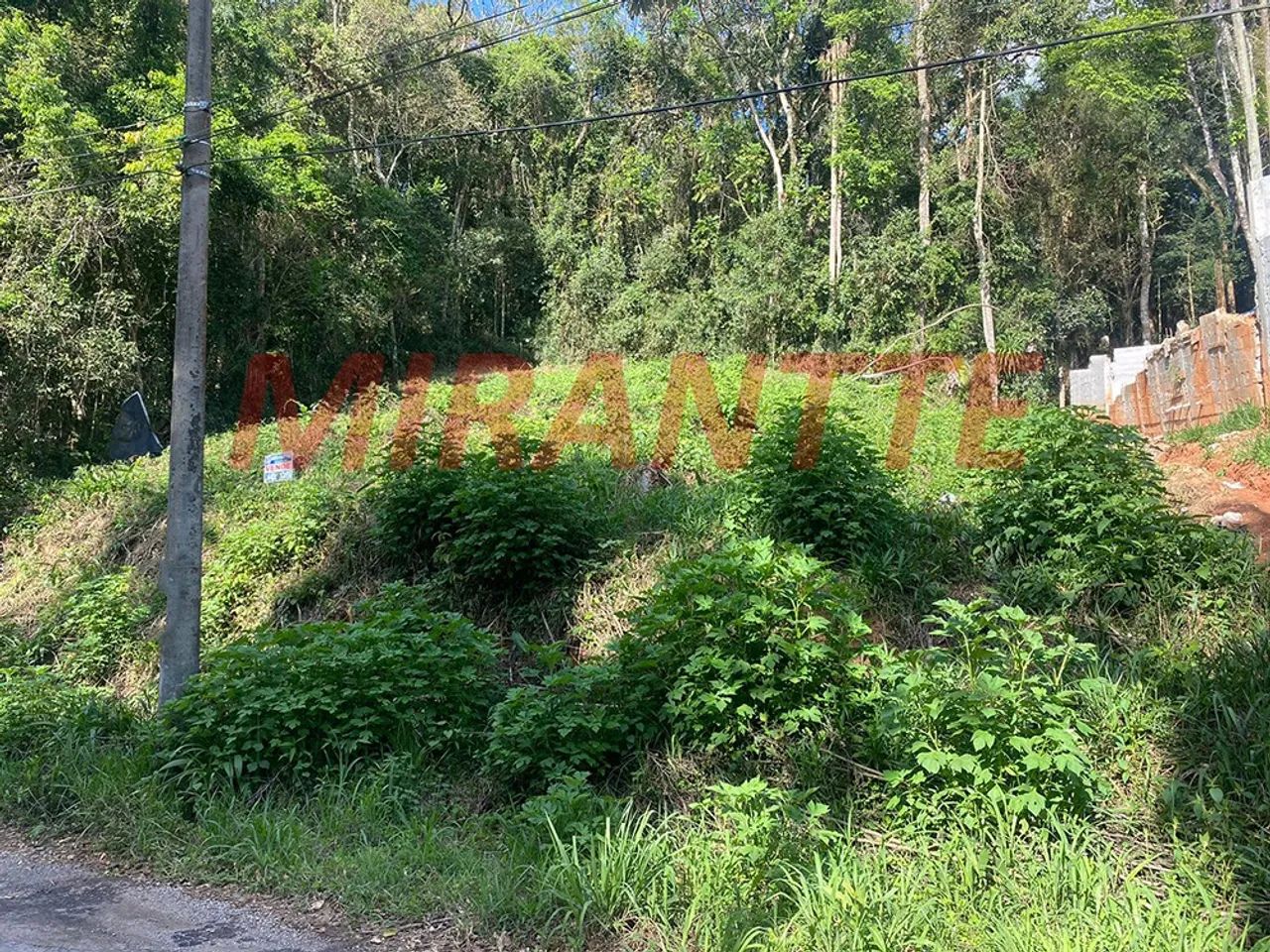 Terreno em Serra Da Cantareira - Foto 3