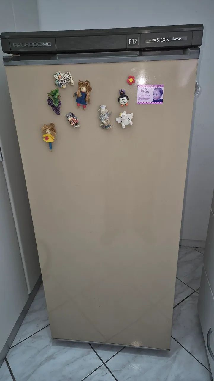 Freezer vertical Prosdocimo - Foto 2