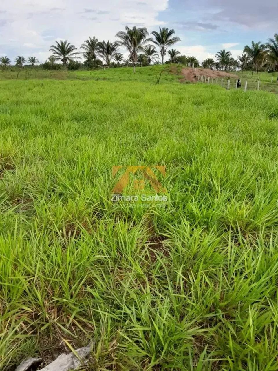 Fazenda, 62 alqueires - Piçarra/PA