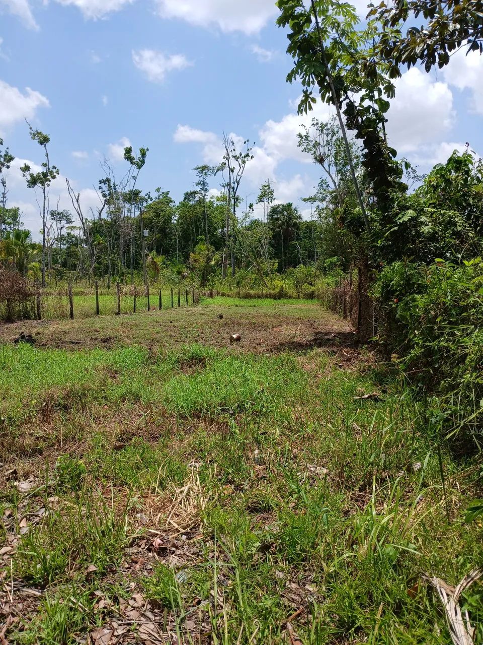 Terreno a venda  - Foto 3