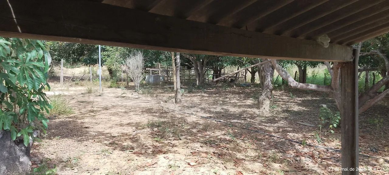 Vendo lindo sitio - Foto 2