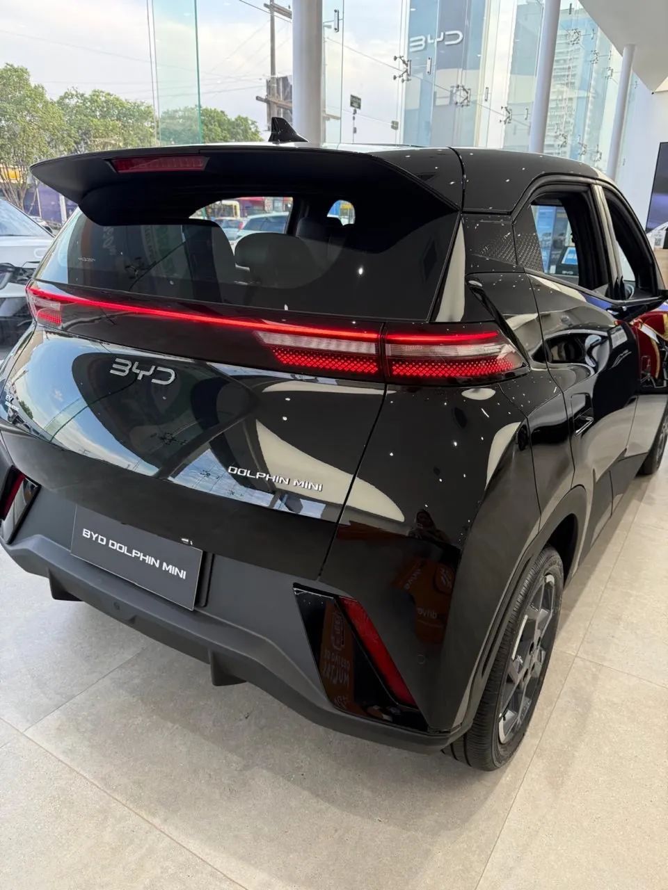 BYD Dolphin GS (Elétrico) 2027 - Foto 4