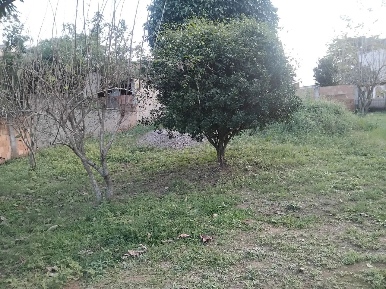 Casa em terreno grande no Rio da Prata - Foto 3