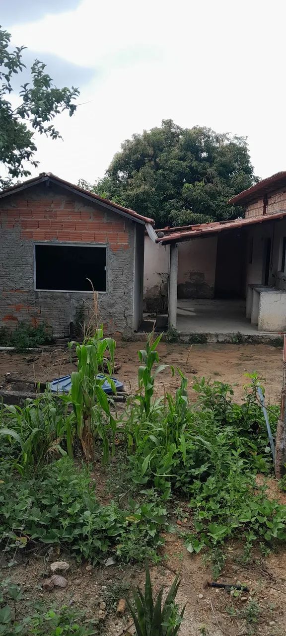 chacára - Foto 3