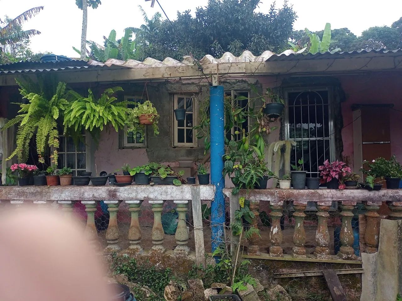 Foto - Mogi das Cruzes - Biritiba-Ussu